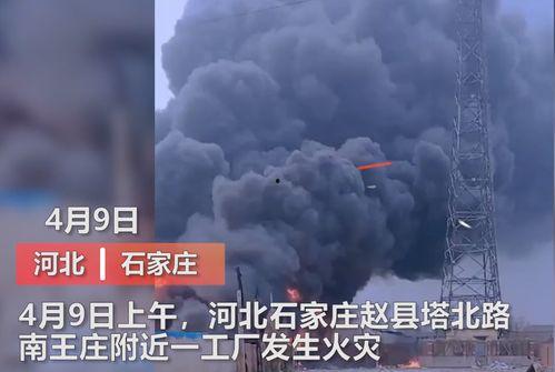 界首市媒体爆料事件视频,视频揭露惊人真相