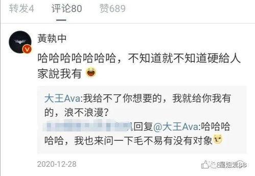 大王爆料彩虹夫妇视频,大王爆料视频引网友热议